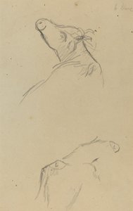 Dvě kravské hlavy [verso] od Paul Gauguin