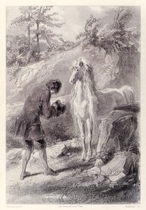 Kůň se zastavil a zíral na mě z francouzského vydání Gullivers Travels od Jonathana Swifta od Paul Gavarni
