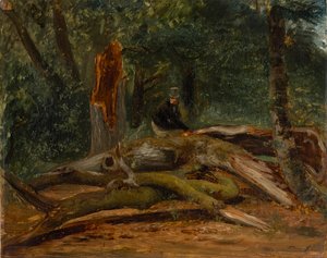 Jsem Wald von Villers-Cotterets
