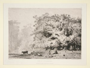 Les poblíž Fontainebleau od Paul Huet