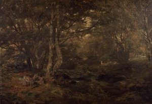 Přes les, Pont-y-Gytyn, Severní Wales