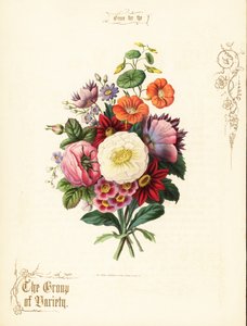 Kytice z bílé růže, jiřina, lichořeřišnice, ušní boltec. od Paul Jerrard