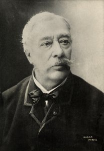 Portrét Alfreda Stevense (foto) od Paul Nadar