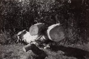 Vyhledání objektu od Paul Nash