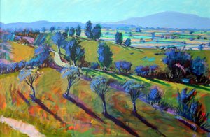 Pramen Crickley Hill od Paul Powis