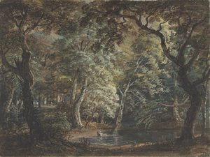 Windsorský velký park, 1790-99. od Paul Sandby