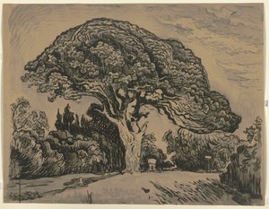 Le Pin Bertaud od Paul Signac