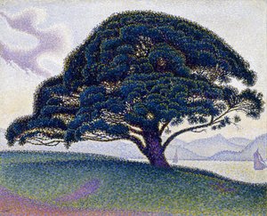 Borovice Bonaventure od Paul Signac
