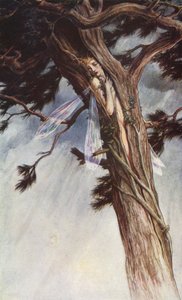 Bouře od Williama Shakespeara, dějství I, scéna 2 (barevné lito) od Paul Vincent Woodroffe