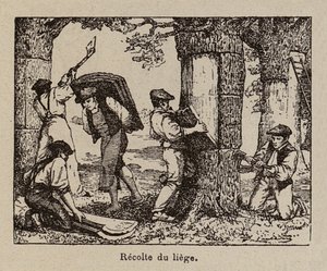  od Paul de Laubadere