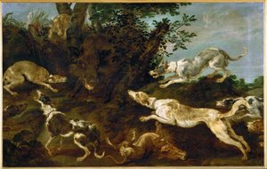 Lov divočáků od Paul de Vos