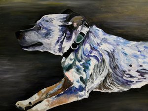 Běh s Blue Dogem