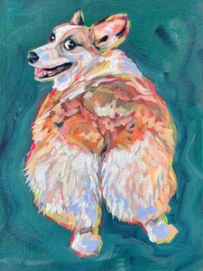 Energický corgi