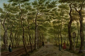 Herepad v Haagse Bos Scheveningen Woods poblíž Haagu od Paulus Constantijn la Fargue (signed by artist)