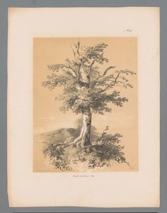 Výložník Malebné tváře od Pauluse Lauterse (název série) Etrennes pittoresques pour 1839, od Lauterse (název série)