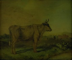 Kráva od Paulus Potter