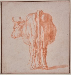 Kráva (studie na zvířatech) od Paulus Potter