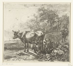 pastevec od Paulus Potter