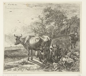 pastevec od Paulus Potter