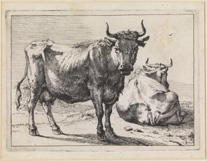  od Paulus Potter
