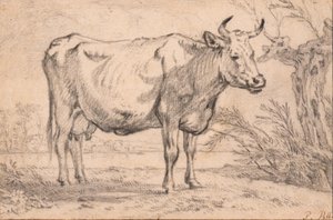  od Paulus Potter