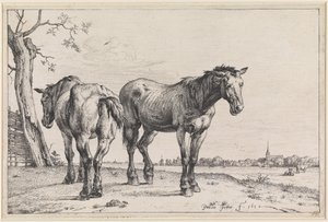  od Paulus Potter