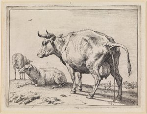  od Paulus Potter