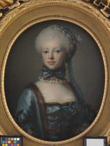 Portrét hraběnky Eleonory Agnes Scheel, rozené Raben