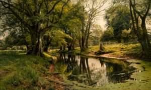 Stále voda v lese od Peder Monsted