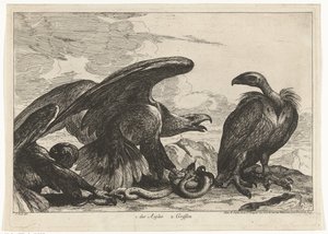 Sup a orel s hadem 1. des Aigles 2. Griffon (titul na předmětu) Ptáci ze zvěřince ve Versailles (název série)