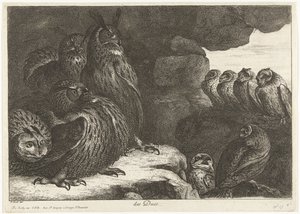 Sovy v jeskyni des Ducs (název na objektu) Ptáci ze zvěřince ve Versailles (název série)