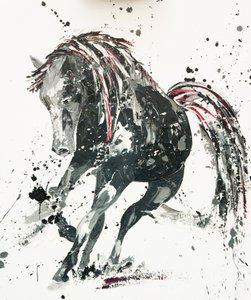 Capriccio, 2014 od Penny Warden