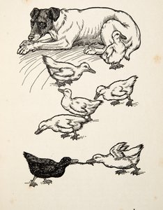 Zvláštní pěstounka, z knihy Sto anekdot o zvířatech, vyd. 1924 od Percy J. Billingshurst