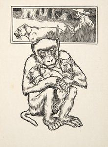 Soliciting Succour, od Sto anekdot o zvířatech, pub. 1924 (rytina) od Percy J. Billingshurst