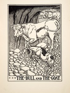 Býk a koza, ze Sto Ezopových bajek, pub. 1903 (rytina) od Percy J. Billingshurst
