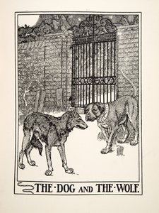 Pes a vlk, ze sta Ezopových bajek, pub. 1903 (rytina) od Percy J. Billingshurst