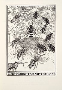 The Hornets and the Bees, from Fontaine Fables, pub. 1905 (rytina) od Percy J. Billingshurst