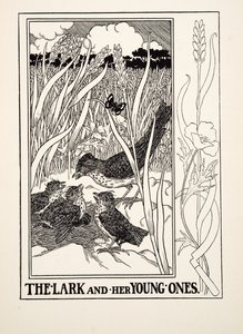 Skřivan a její mladíci, ze Sto bajek o Ezopovi, pub. 1903 (rytina) od Percy J. Billingshurst