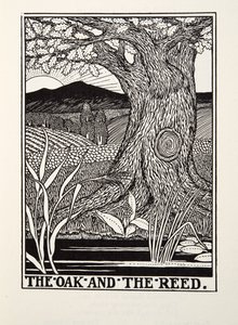 The Oak and the Reed, from Fontaine Fables, pub. 1905
