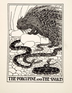 Dikobraz a hadi, ze sta Ezopových bajek, pub. 1903 (rytina) od Percy J. Billingshurst