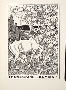 The Stag and the Vine, z Fontaine Fables, hospoda. 1905