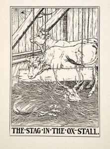 The Stag in the Ox Stall, from A Hundred Bajky of Ezop, pub. 1903 (rytina) od Percy J. Billingshurst