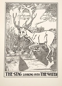 Jelen hledící do vody, ze Sto bajek o Ezopovi, pub. 1903 (rytina) od Percy J. Billingshurst