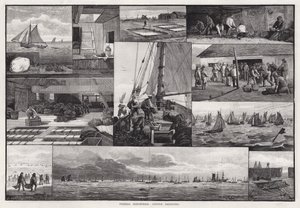 Fishing Industries, Bagrování ústřic (rytí) od Percy Robert Craft