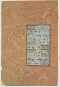 Folio kaligrafie, Írán, dynastie Safavidů (inkoust, neprůhledný akvarel a zlato na papíře)