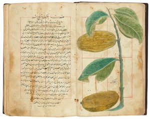 Hassan Bin Baqir Bin Jarrah: Ghalzar Al-Raihain, Qajar Iran od Persian School