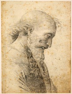 Busta muže, 1500-1503.