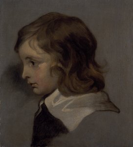 Hlava mladého chlapce (olej na plátně) od Peter (follower of) Lely