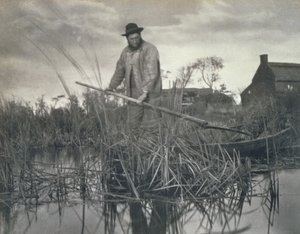 Coming Home from the Marshes, Life and Landscape on Norfolk Broads, 1886