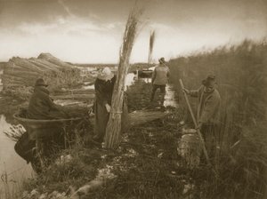Během Reed Harvest, Life and Landscape on Norfolk Broads, c.1886